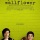 "The Perks of Being A Wallflower" celebrates the socially-awkward